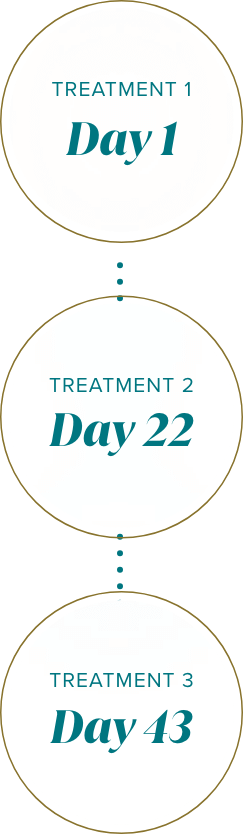 Treatment Day 1. Treatment Day 22. Treatment Day 43.