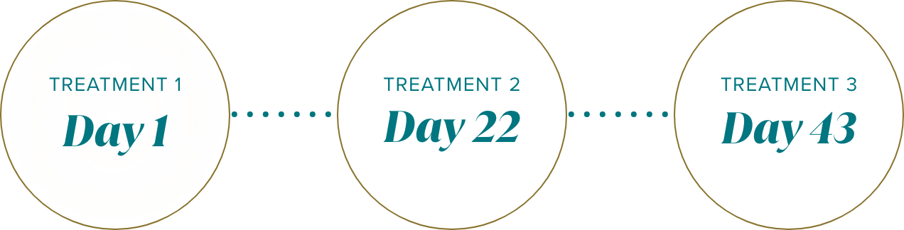 Treatment Day 1. Treatment Day 22. Treatment Day 43.